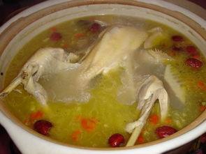 爆料母鸡汤视频大全下载,下载收藏必备攻略